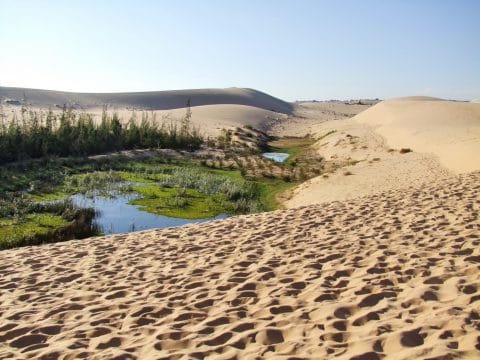mui ne - vue des dunes blanches - vietnam