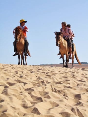 mui ne - chevaux sur dunes blanches - vietnam