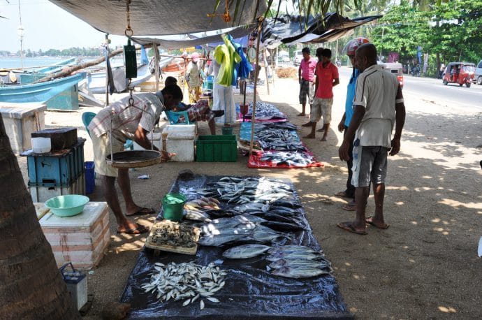 baie bonavista - Galle - sri lanka