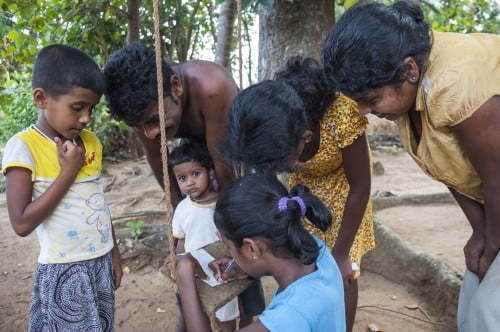 campagne sigiriya sri lanka