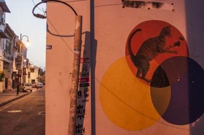 Un peu plus discrète, cette oeuvre du projet "101 Lost Kittens" intitulé "I can help catch rats" (je peux aider à attraper des rats) est sur un mur d'une ruelle donnant sur l'Armenian Street.