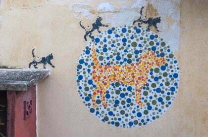 Autre oeuvre pour le projet" 101 Lost Kittens" intitulé "No Animal discrimination",un peu plus dure à trouver car plus loin dans une ruelle entre Armenian et Ah Quee Street, non loin de l'autre oeuvre du même projet (" "I can help catch rats")