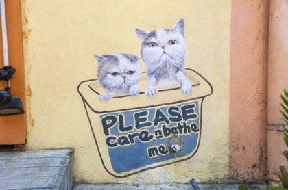 Dans une petite ruelle faisant face à l'oeuvre "love me like your fortune cat" et juste à côté de Skippy, en l'occurence dans la même ruelle que le rat ci dessous, se trouve cette autre oeuvre du projet "101 Lost Kittens" intitulé "Please care and bathe me" (Prenez soin de moi et lavez moi s'il vous plait)