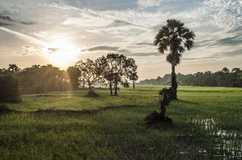 cambodge siem reap 2014