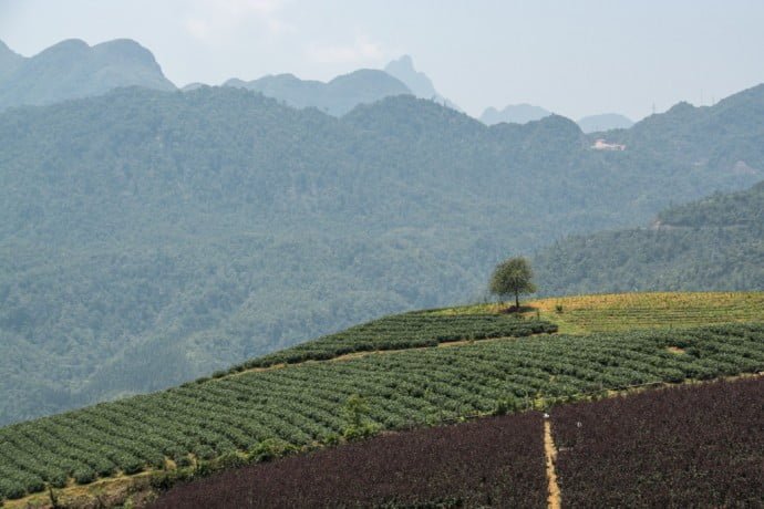 region Sapa nord Vietnam