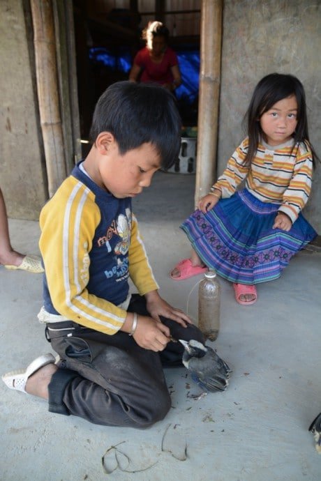 enfants hmong hau thao sapa vietnam