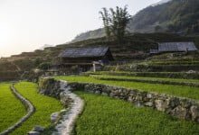 rizieres village hmong hau thao sapa vietnam