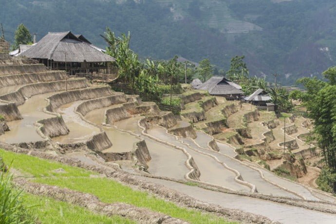 rizieres nord Vietnam - route entre Vinh Quang et Ha Giang