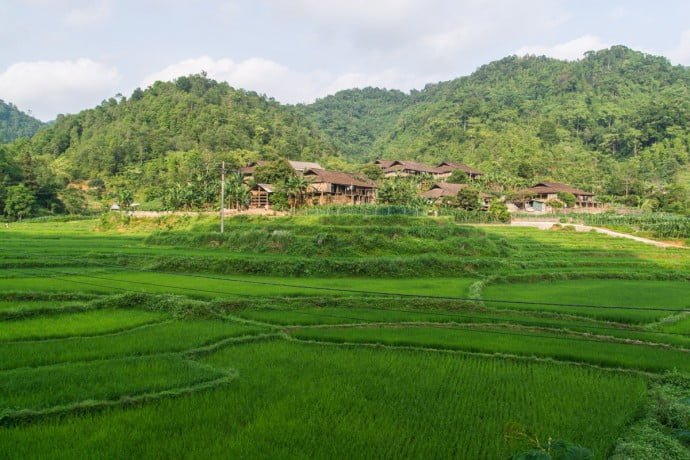rizières entre Cao Bang - Bac Son - nord Vietnam