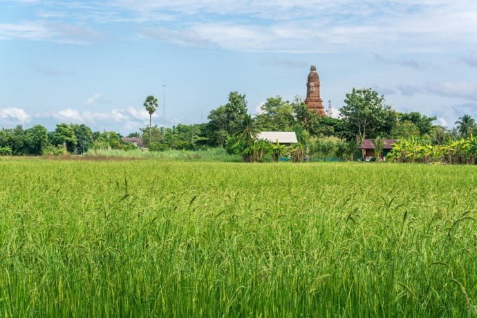 Kamphaeng Phet - parc historique - Thaïlande 48