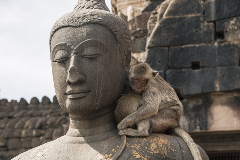 Lopburi - ville singes - Thailande