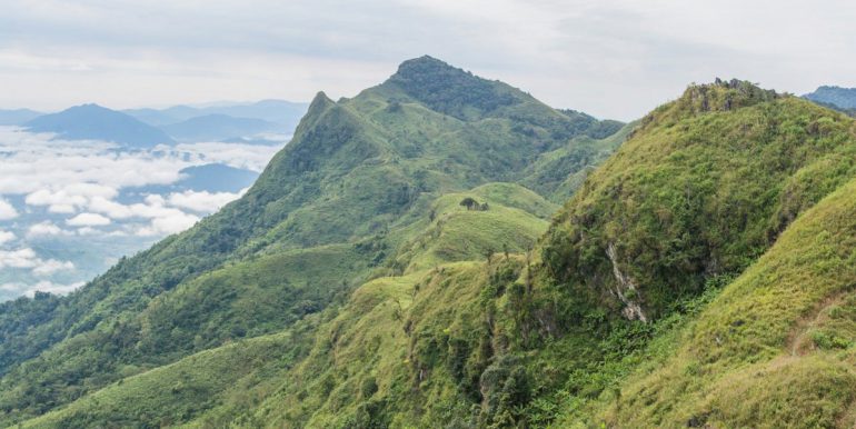 doi pha tang - chiang rai - thailande