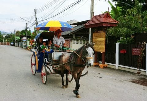caleche cheval lampang nord thailande