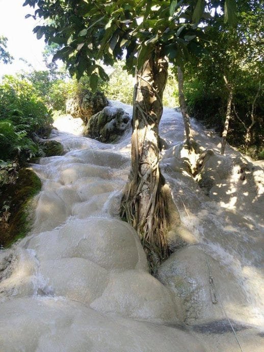 bua thong waterfall - nord chiang mai -thailande