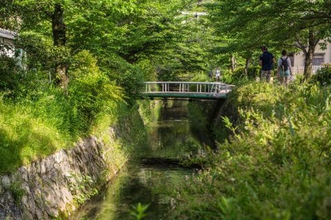 chemin de la philosophie - kyoto