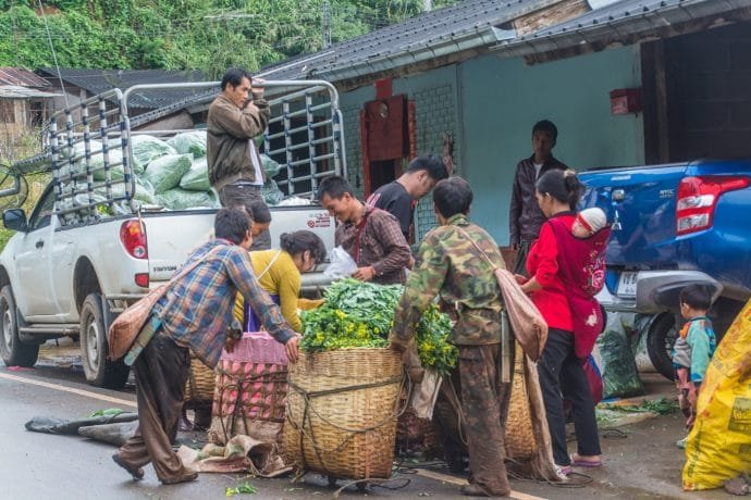 acitivite village ban luang doi ang khang - thailande