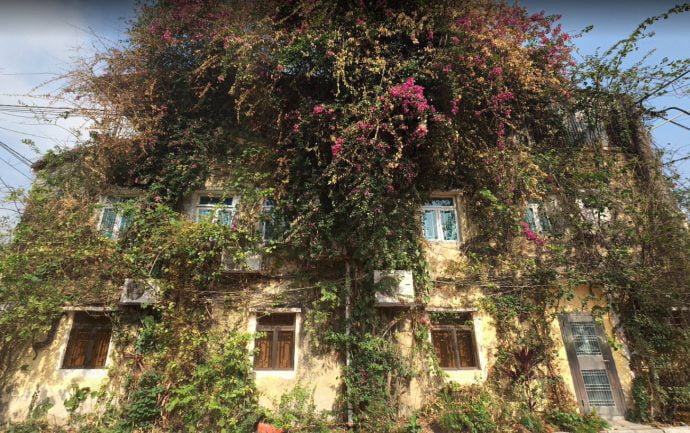 maison bougainvillier coloane - macao