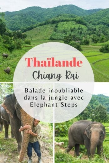 pinterest visite elephant steps chiang rai thailande