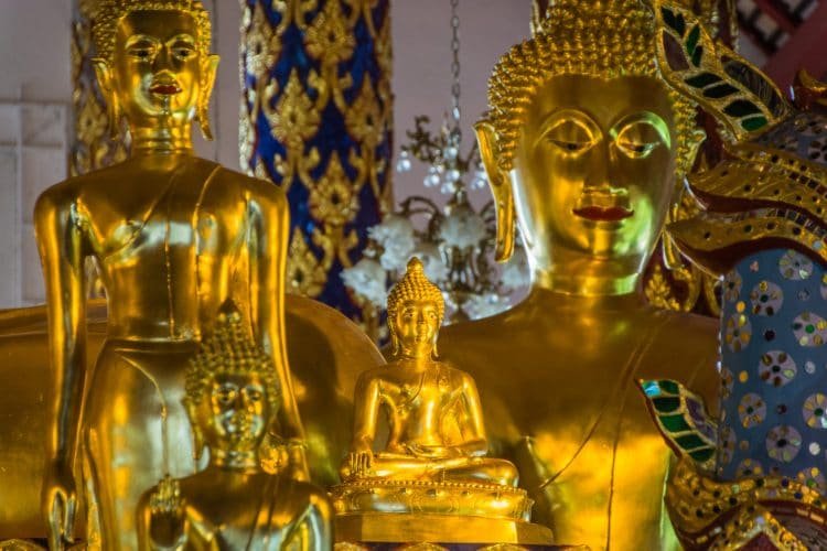statues bouddhas dorees wat suan dok - chiang mai