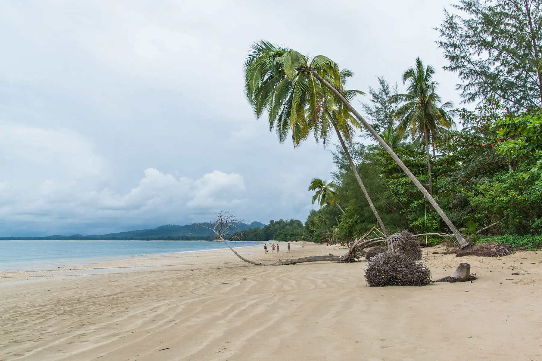 coconut beach khao lak - thailande