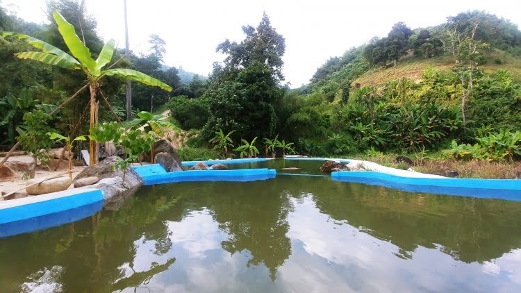 piscine proche chute huay keaw - chiang rai