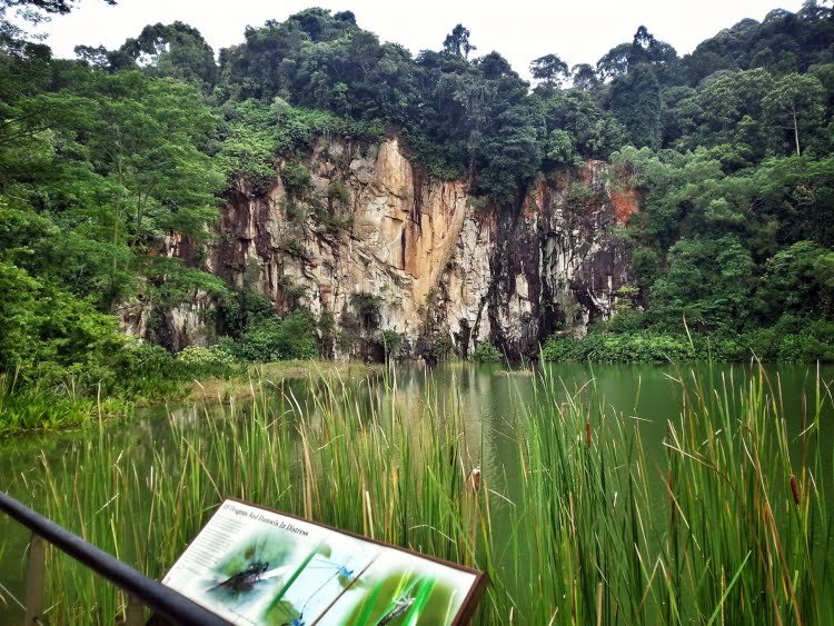 bukit timah reserve singapour