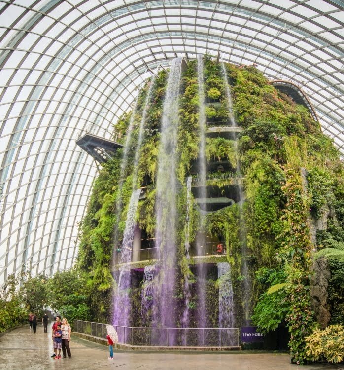 cascade interieur cloud forest dome singapour