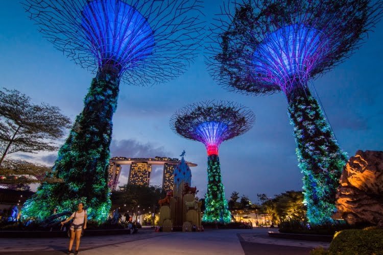 gardens by the bay de nuit - singapour