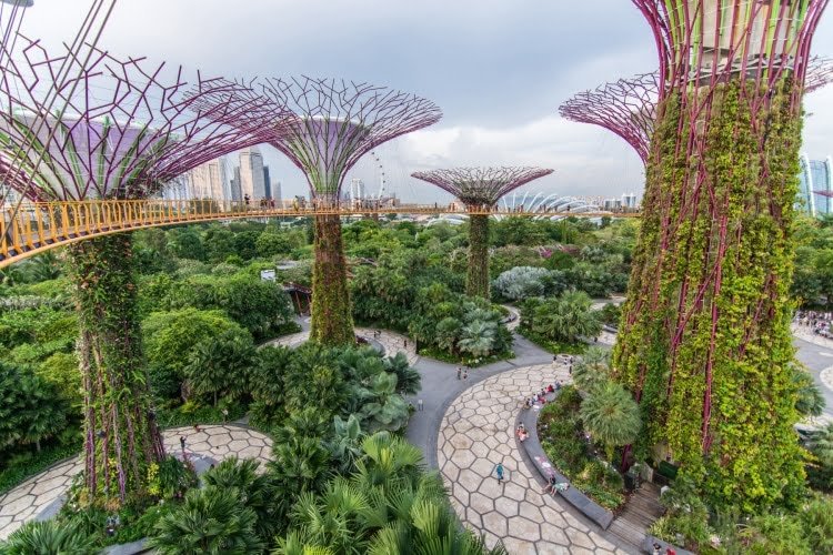 gardens by the bay - singapour