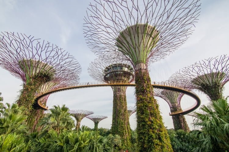 super tree grove gardens by the bay singapour