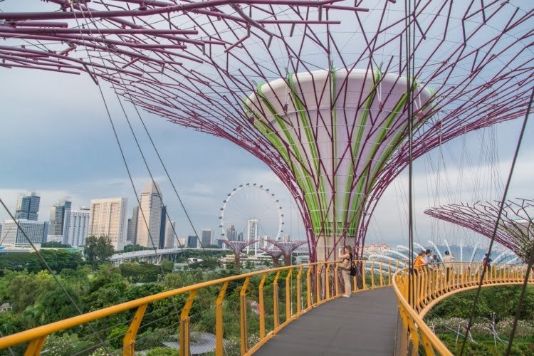 sur passerelle skyway gardens by the bay singapour
