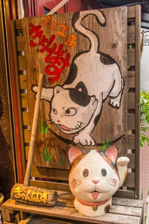 chats rue nara - japon