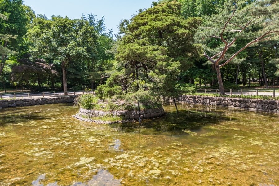 bassin au sanctuaire jongmyo - seoul