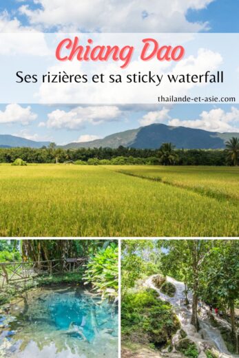 pinterest cascade bua thong et rizieres chiang dao thailande