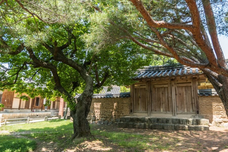 jardin maison Chunghyodang hahoe