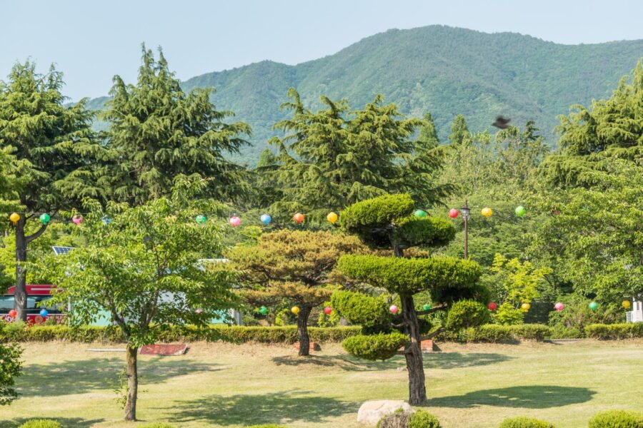 parc devant temple bulguksa gyeongju